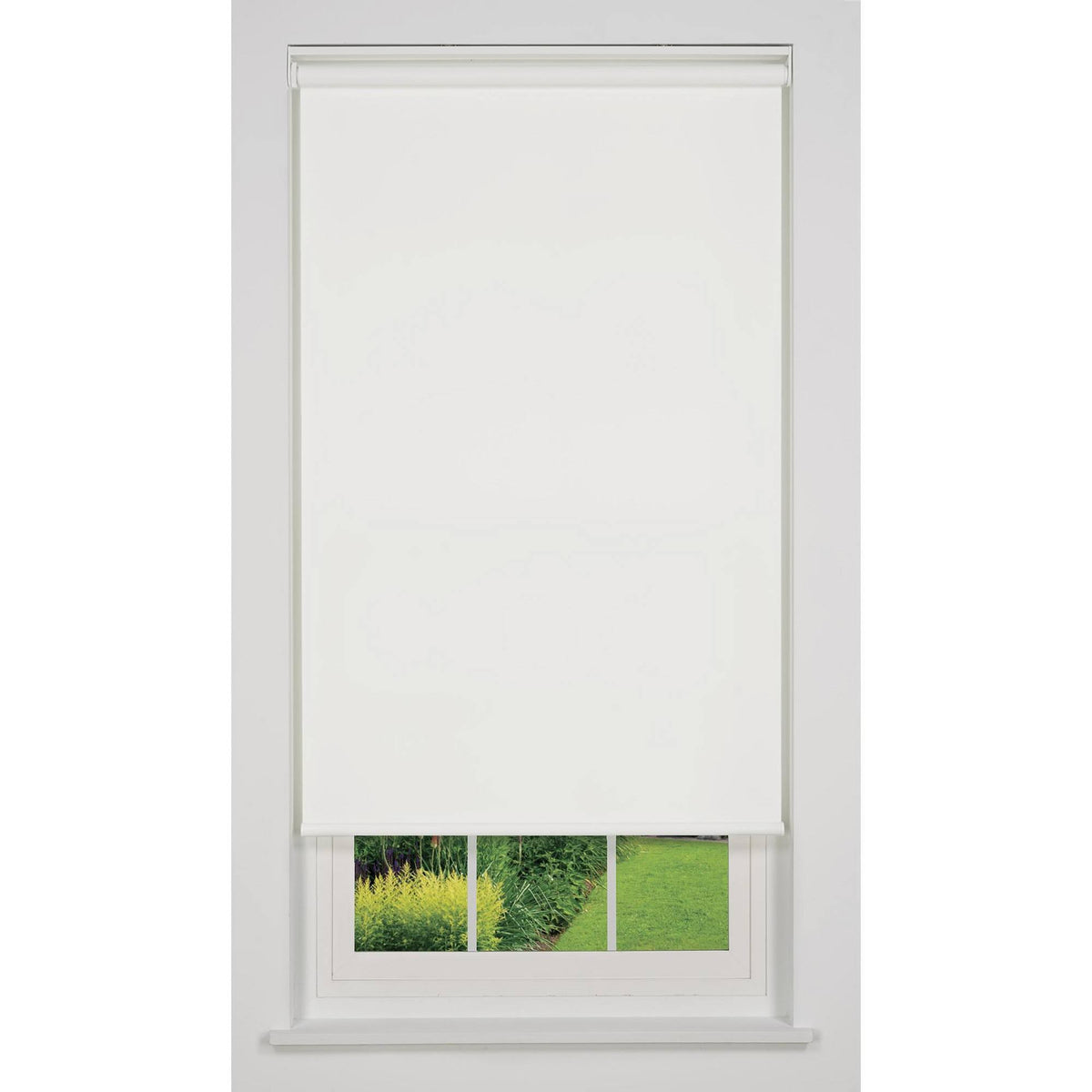 White 53 W x 78 H Cordless Light Filtering Roller Shade T812