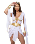 3 Piece Costume in Size Large Z57339