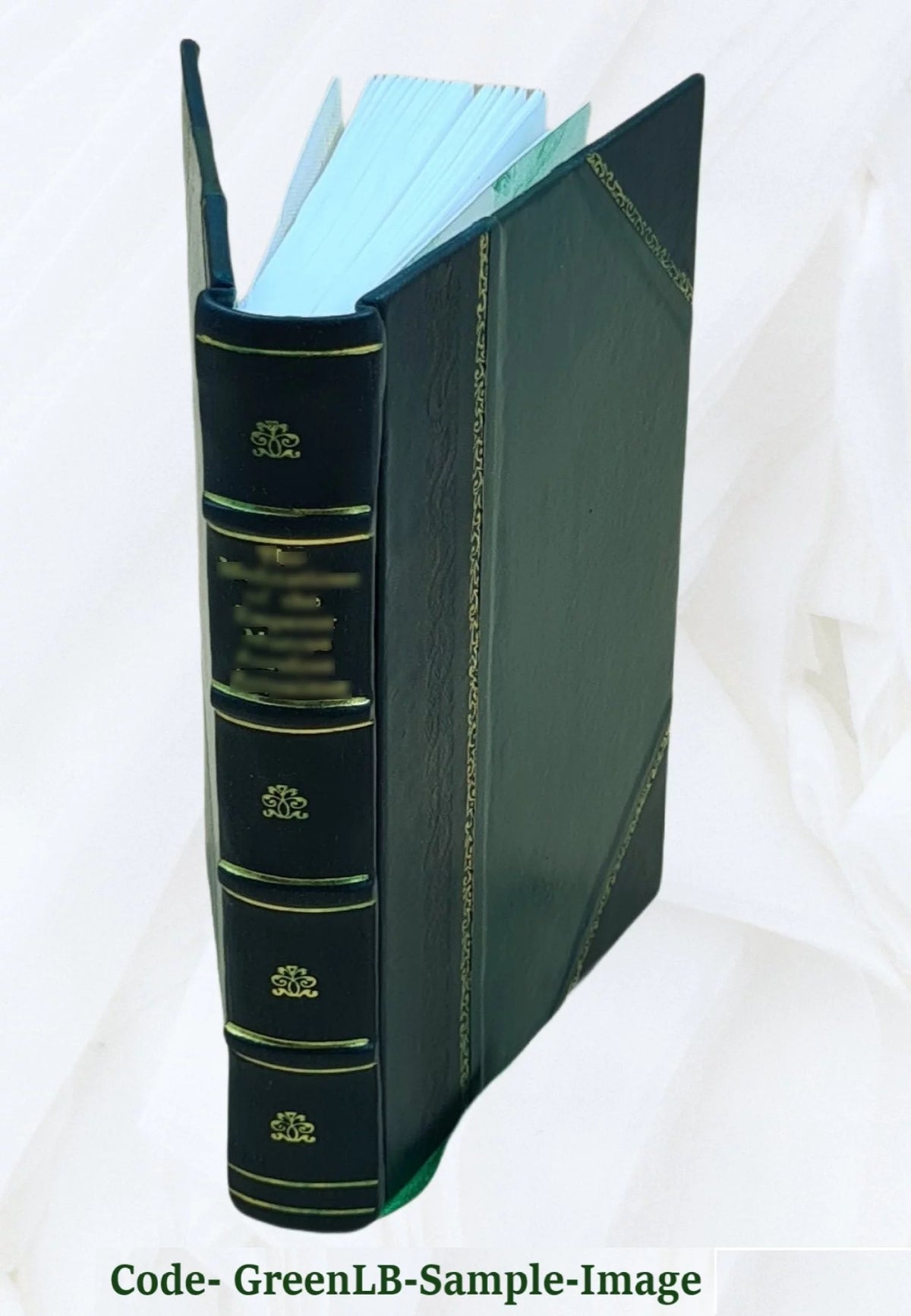 Leather Bound Book L880