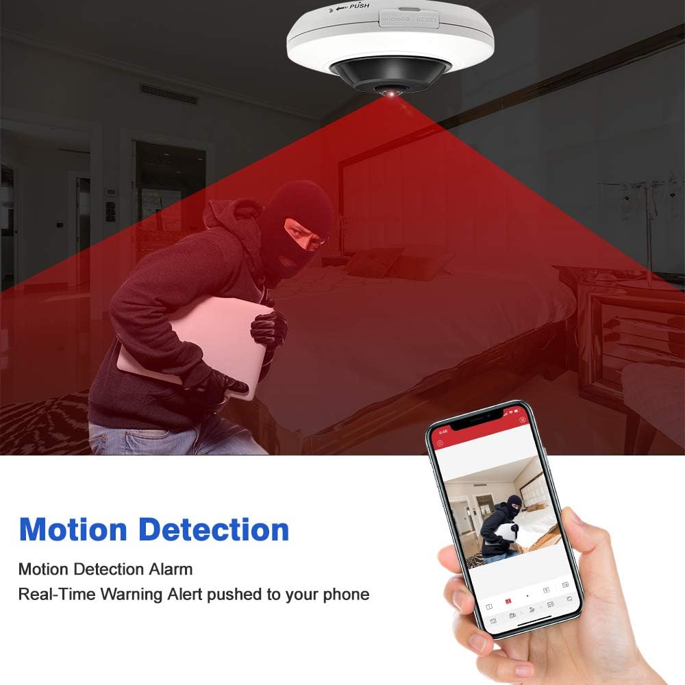 5 MP Fisheye Dome POE IP Camera S31724