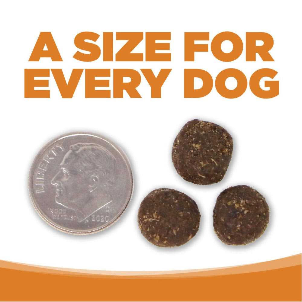 Lamb Rice Dry Dog Food P141