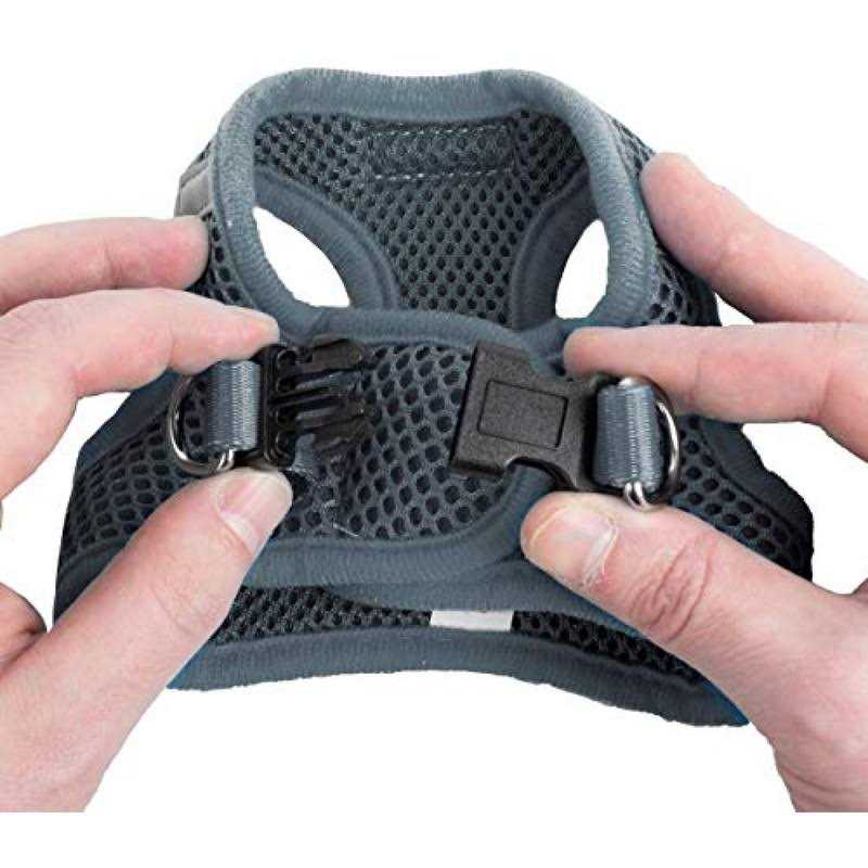 Step in Dog Harness for Small Dogs V32292