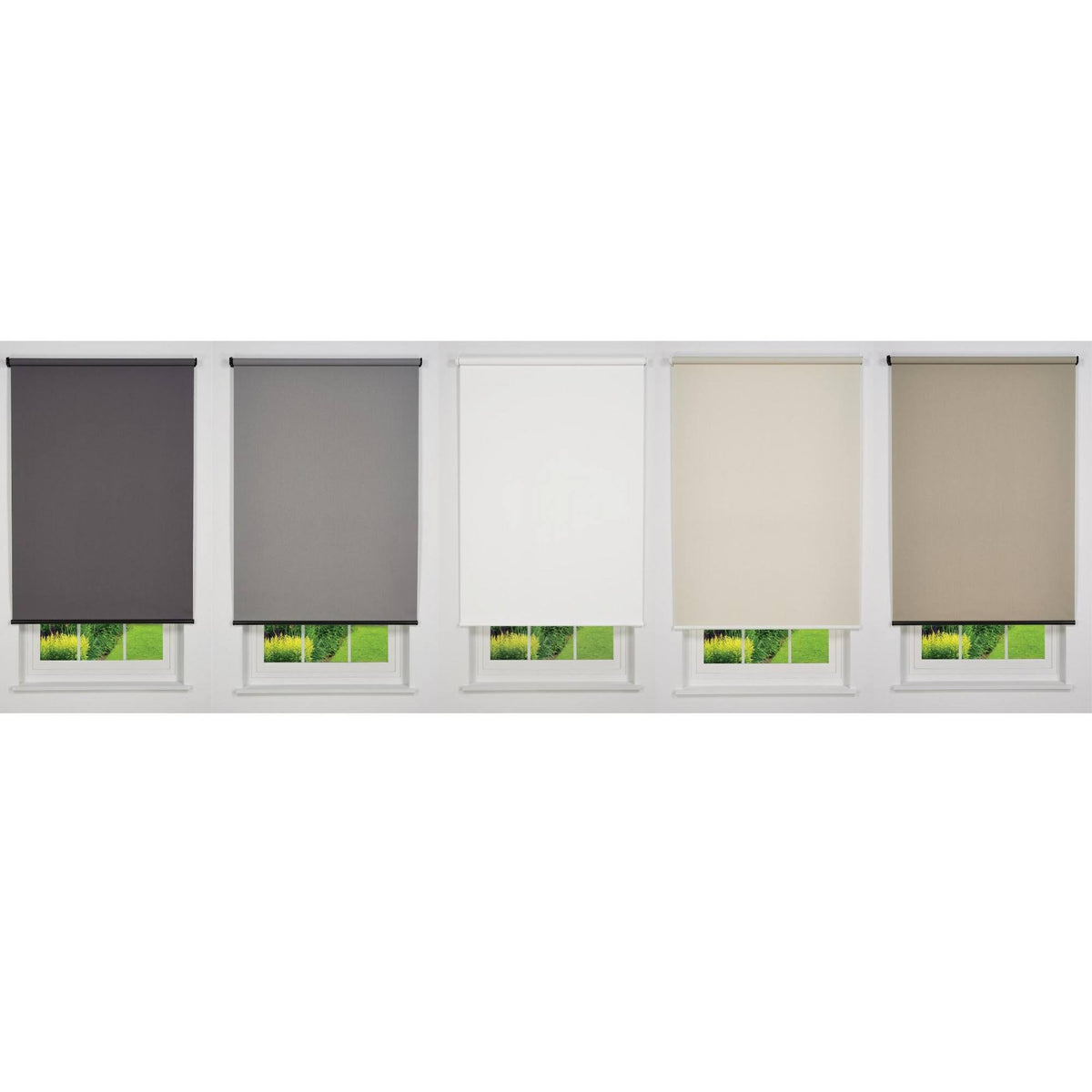 White 53 W x 78 H Cordless Light Filtering Roller Shade T812