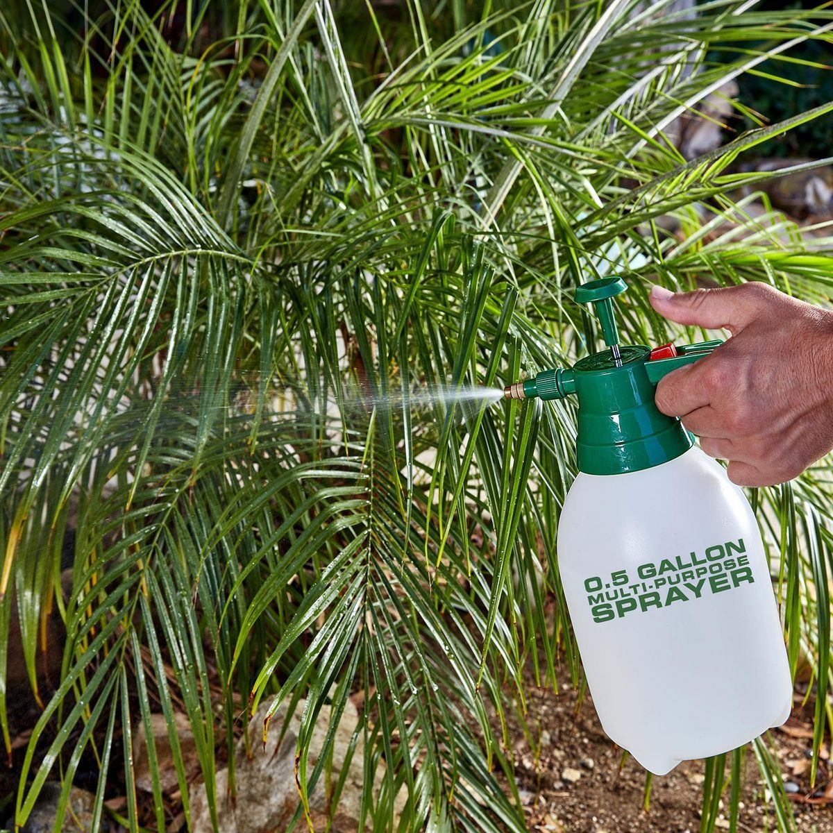 0.5 Gallon Multipurpose Sprayer C709981