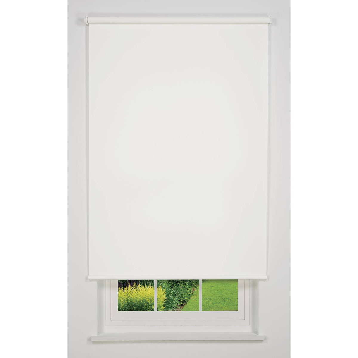 White 53 W x 78 H Cordless Light Filtering Roller Shade T812