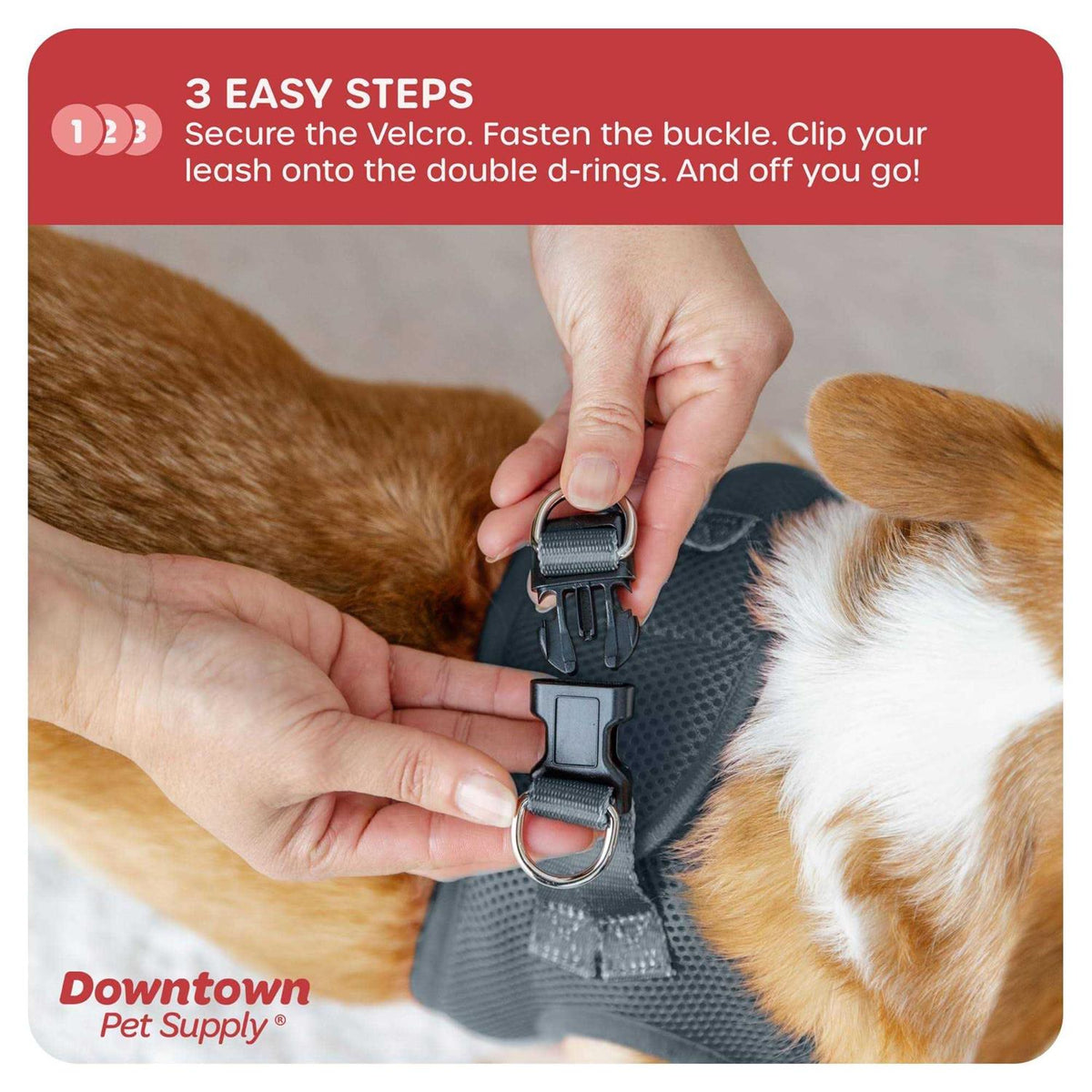 Step in Dog Harness for Small Dogs V32292