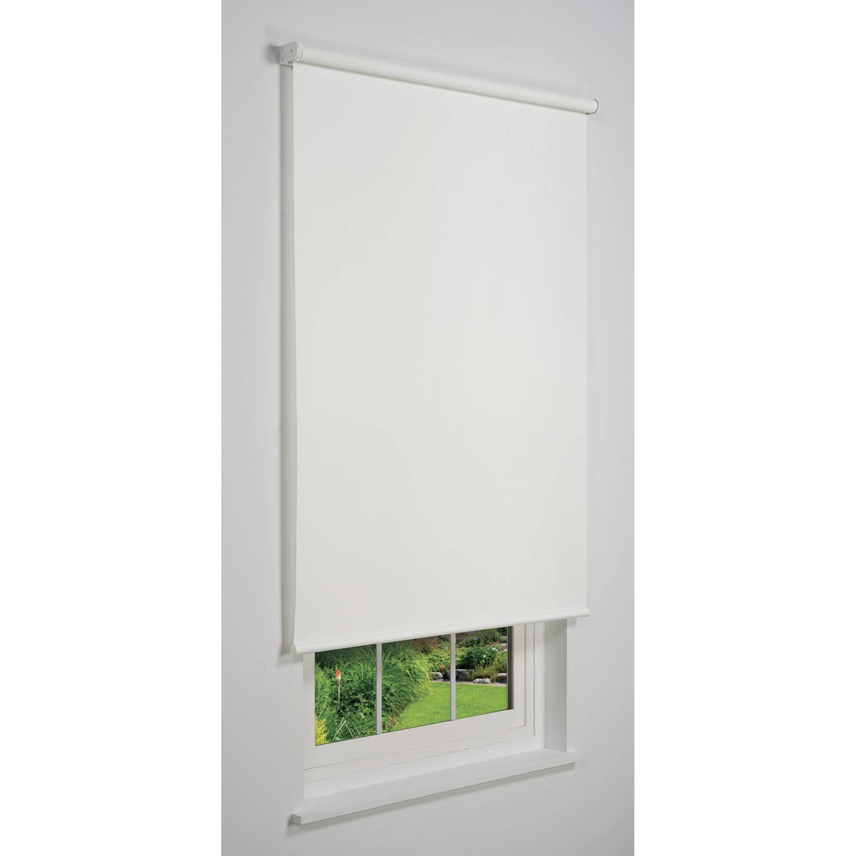White 53 W x 78 H Cordless Light Filtering Roller Shade T812