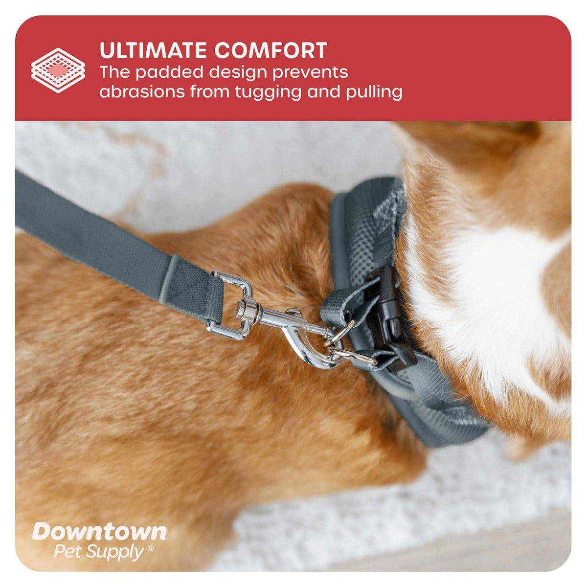 Step in Dog Harness for Small Dogs V32292